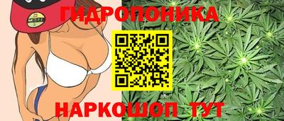 MDMA Premium VHQ Новозыбков