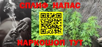 a pvp Обь