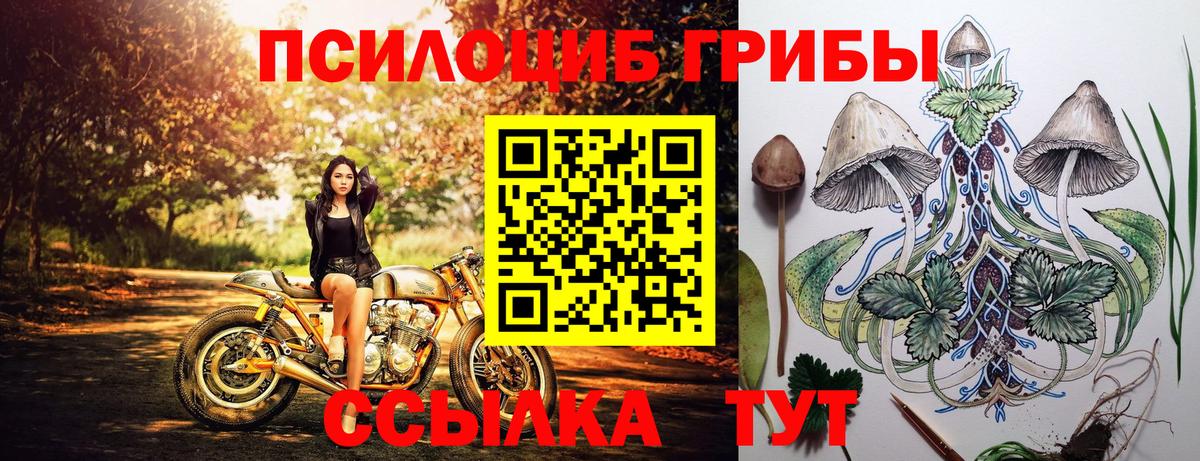 Тверь  Галлюциногенные грибы ЛСД  Псилоцибиновые грибы Cubensis  Вход с VPN 