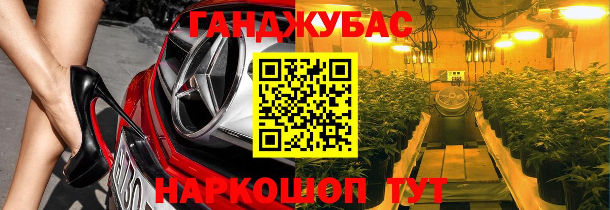Канабис SATIVA & INDICA  Бошки марихуана план  Марихуана планчик  Конопля индика  Тверь  Вход с VPN 